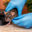 Barron's Pest Control - Pest Control Equipment & Supplies