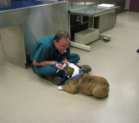 VCA McCormick Ranch Animal Hospital and Emergency Center - Scottsdale, AZ