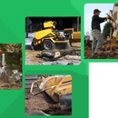 Mill Wood Tree Service - Tree Service
