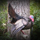 Hunter's Haven Taxidermy - Taxidermists