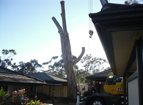 Blackwood Tree Service