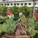 The Greenhouse - Garden Centers
