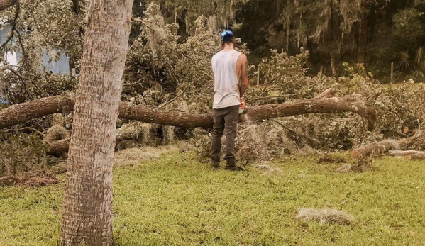 The Perfect Cut Tree Service LLC - Middleburg, FL