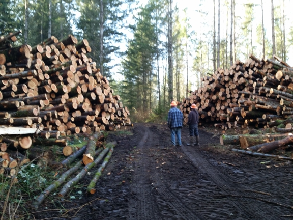 American Forest Lands Washington Logging Company. Forestry Services offered by American Forest Lands WA Logging Company. Your BBB Trusted Loggers! Call: 1-800-LOG-ALOT(564-2568). Pacific NW