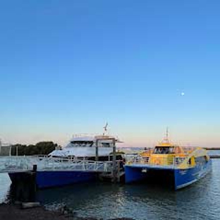 Stradbroke Flyer Gold Cats - Cleveland, QLD