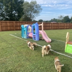 Bellarose Kennels