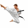 Shaolin Kempo Studios Of Self Defense gallery