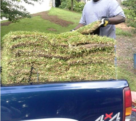 Coleman Stump Removal - lithia springs, GA