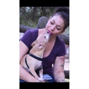 Doggy Decorum - Dog Training
