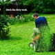 Lawn Love Lawn Care