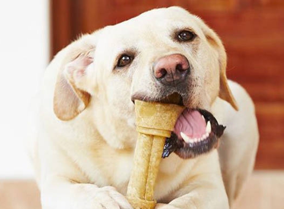 Latrobe Veterinary Group - Traralgon, VIC