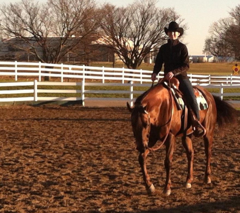 Doublestar Equestrian - Mason, MI