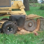 Stump Grinding By Jim