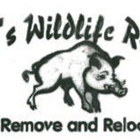 Bobby's Wildlife Removal