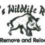 Bobby's Wildlife Removal
