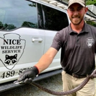 Nice Wild Life Service