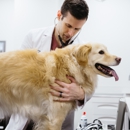 The Animal Cardiology Center - Westchester - Veterinarians