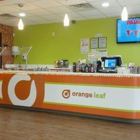 Orange Leaf Frozen Yogurt