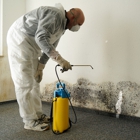 Biotek Environmental Mold Removal