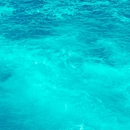 Salty Siren Waxing & Aesthetics - Hair Removal
