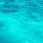 Salty Siren Waxing & Aesthetics