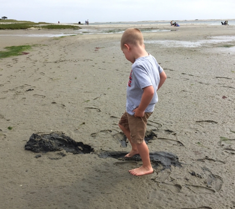 Monomoy National Wildlife Refuge - Chatham, MA