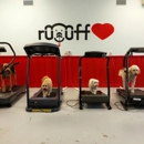 Ruuff Luv Doggie Daycare - Dog Day Care