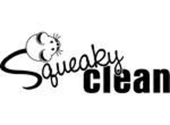 Squeaky Clean Ky - Independence, KY