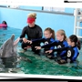 Clearwater Marine Aquarium Inc