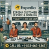 STA Travel gallery