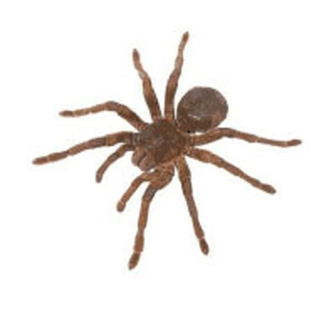 Rebel Pest - Newcastle, NSW