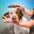 Pet Paradise - Hostels