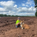 The Corn Maze - Farming Service