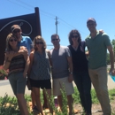 Turley cellars - Wine