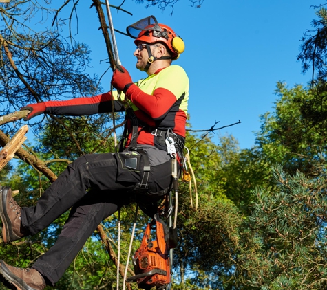 AmeriTree Experts - White Marsh, MD