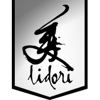 Salon Lidori gallery