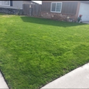 JV Landscaping - Landscaping & Lawn Services