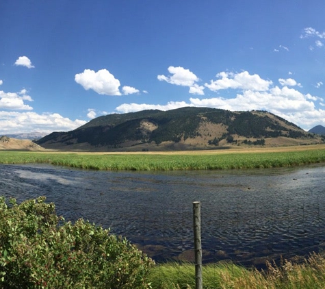 National Elk Refuge - Jackson, WY