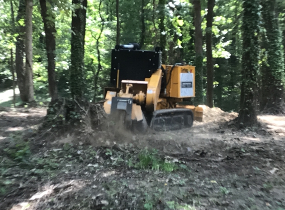 Economy Stump Removal - Gardendale, AL. This big stump was nothing. Machine just walked through it.