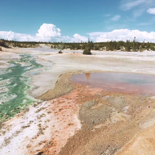 Yellowstone National Park