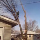 Overland Park Tree Care