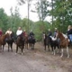 Trail Creek Stables