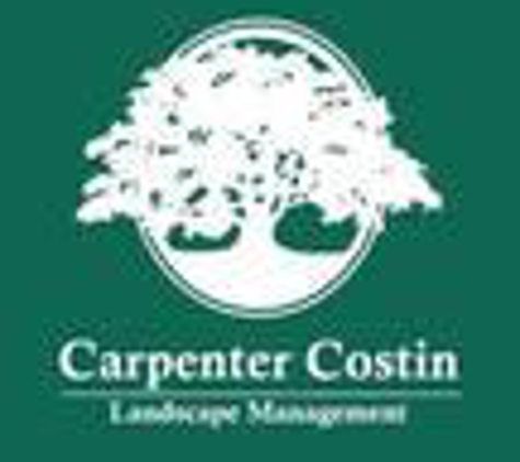 Carpenter Costin Tree and Landscape