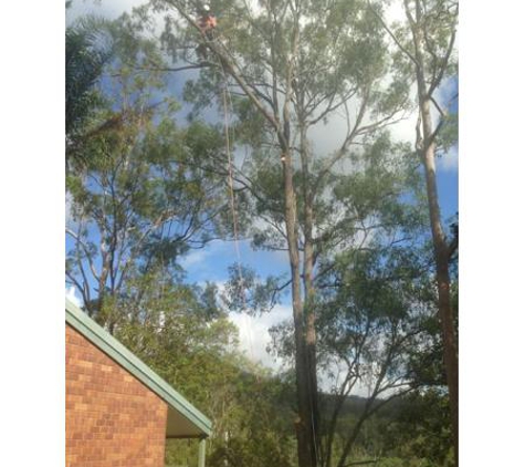 Bill's Tree Service Pty Ltd