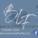 Bonnies little fluffys - Pet Breeders