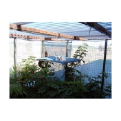 Gallery Image Number 4