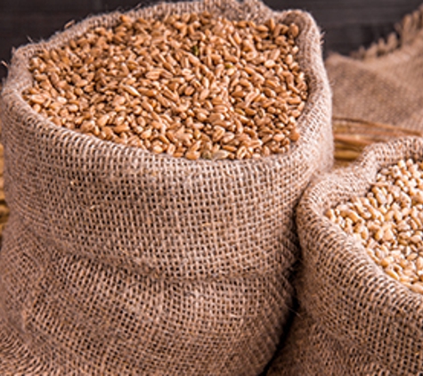 Stewarts Grain Trading - Oakwood, NSW