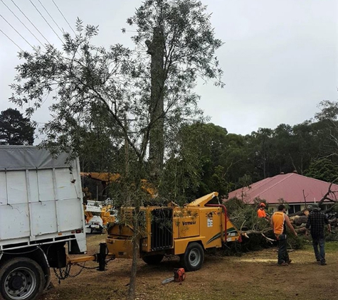 Tree Solutions - Rainbow Flat, NSW