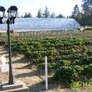 Cohen's Organic Berry Gardens ( Farm, Nursery, Gardens, R.V. Park ) - Farms
