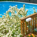 Michigan Swim Pool & Spas - Handyman Services